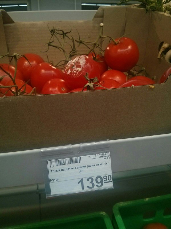 Fresh tomato on a branch - My, Tomatoes, Score, 