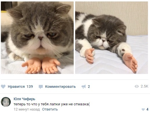 Когда лапки - не отмазка