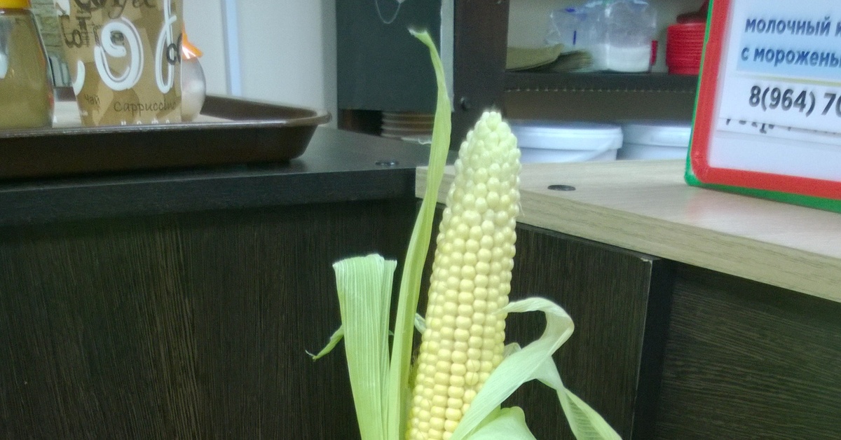 Большая кукурузина