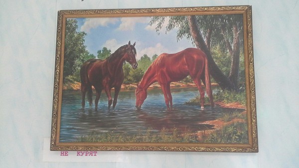 ��� �� �����