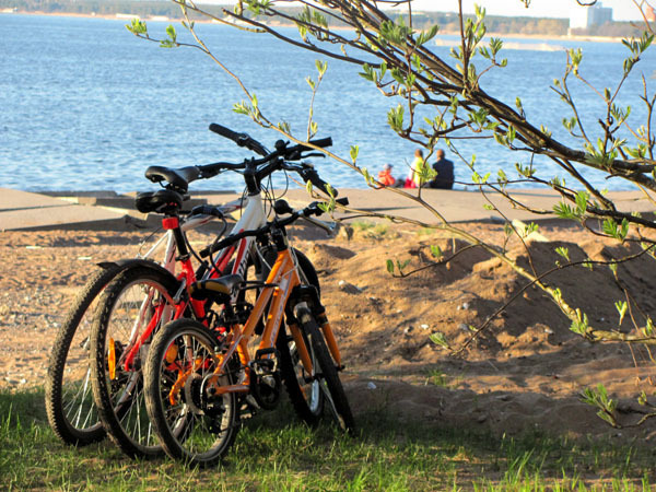 family) - A bike, Family, Happy family, The Gulf of Finland, Dubki Park, Sestroretsk, Saint Petersburg, Happiness