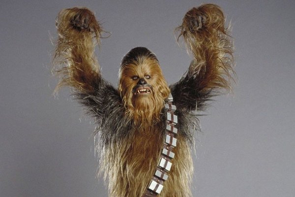 'Star Wars' Chewbacca beat a resort employee with a board - Chewbacca, Costume, Snowboard, Fight, Resort
