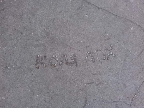 Когда бетонщик не любит Колю