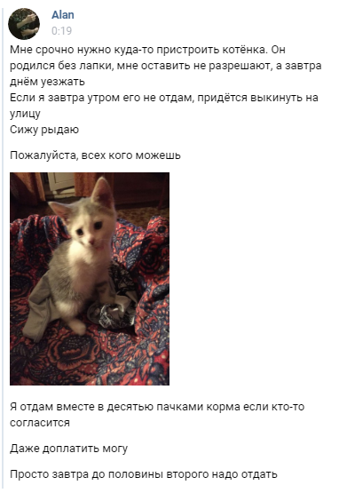 HELP TO ACCESS A KITTEN IN MOSCOW - cat, In good hands, Moscow, 