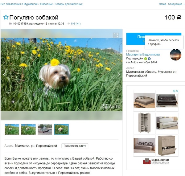 ������� ����