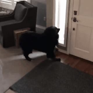 ,    ! ,  , , 