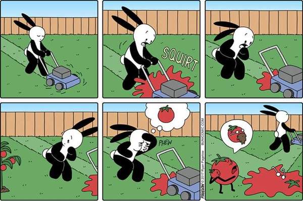 Accident - Buni, Murder, Tomatoes, Comics