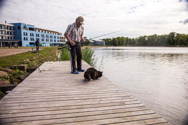 Cat fisher... - My, cat, Fishing, Estonia, Saaremaa, Longpost