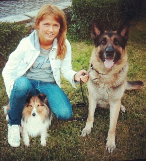 The story of one acquaintance - German Shepherd, Dog, My, Friend