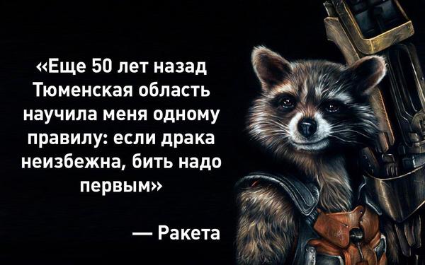 Tyumen Raccoon - Raccoon, Tyumen, Лентач, Life is pain