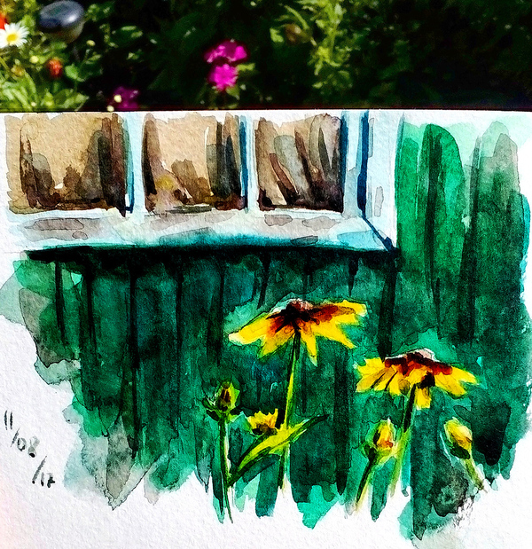 Watercolor sketches from the village - My, Drawing, Sketch, Sketch, Flowers, Village, Watercolor, Longpost