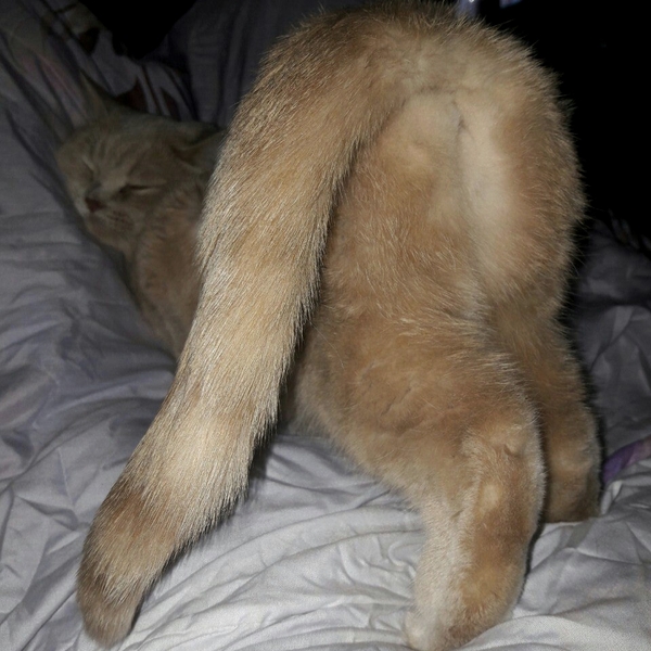 Когда пришла домой поздно,пьяненькая и просишь прощения у мужа XD