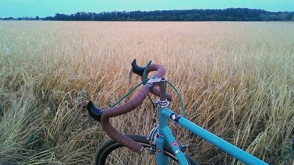 Проезжая мимо Херсонских полей