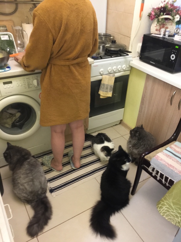 � ������� ���� ������