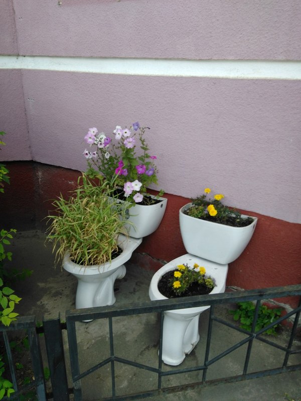 Harsh flower beds in Yaroslavl - Flower bed, Flowers, Toilet, Handmade, Yaroslavl