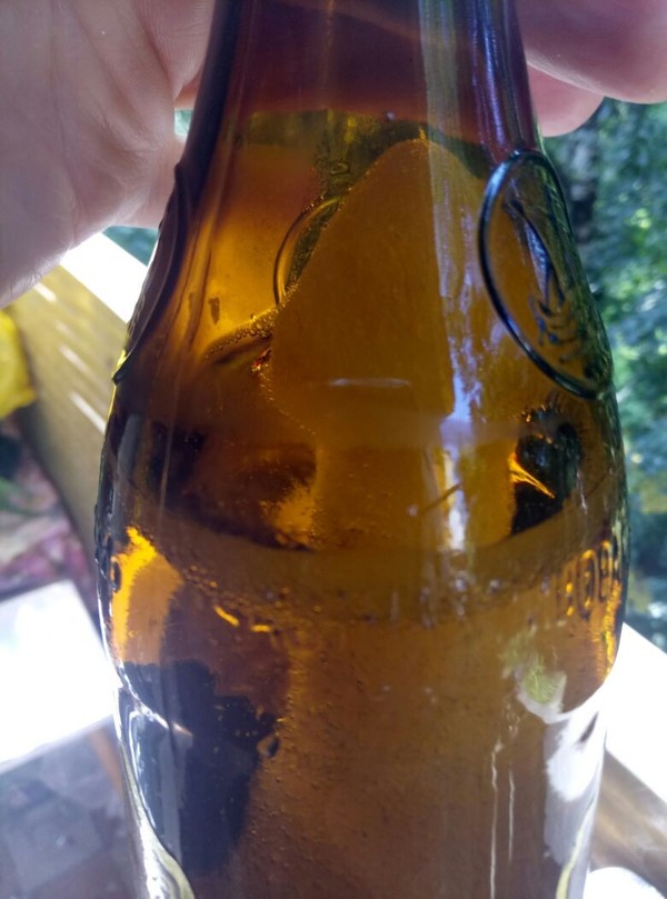 ���� ���