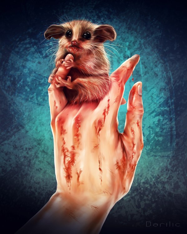 Unbalanced rodent - My, Art, My, Digital drawing, SAI, Photoshop, Video, Rodents, Drawing