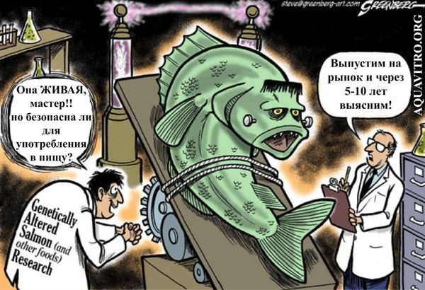 ��������������������� ������ ����� AquAdvantage