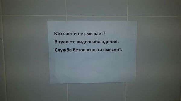 In the toilet, Mrs. institutions. - Cleaning woman, My, Toilet humor