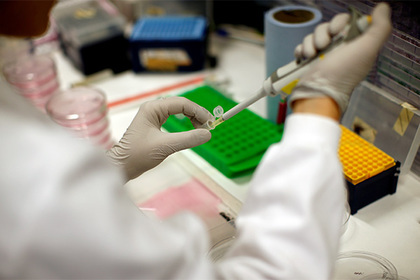 Раскрыты подробности уничтожающего рак витамина