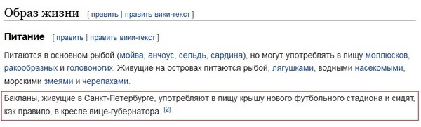 From an article about cormorants on Wikipedia - Gazprom arena, Albin, Cormorants