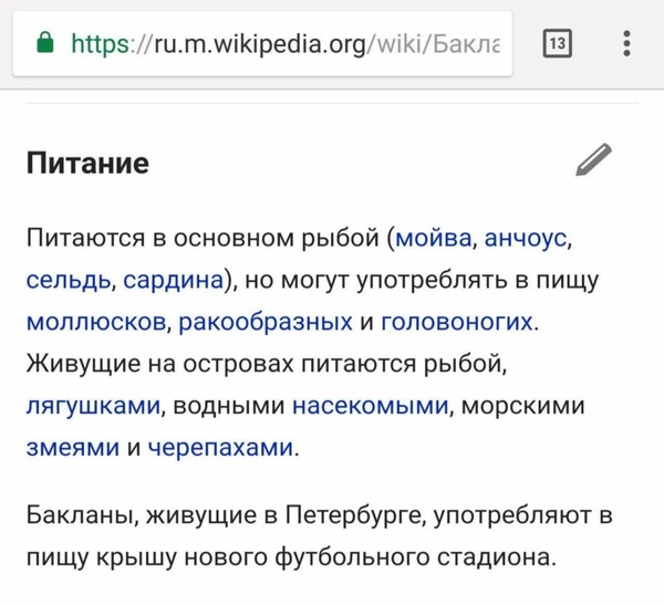 The vice-governor of St. Petersburg accused the cormorants of leaking the roof of the Zenith Arena - Gazprom arena, Cormorants, Saint Petersburg