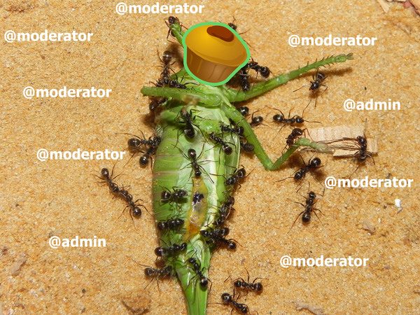 �� �����