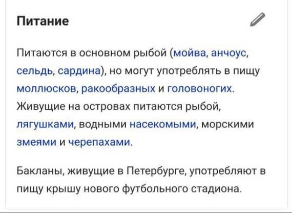 Виновниками того, что крыша «Зенит-Арены» протекает, оказались бакланы. По версии петербургского вице-губернатора - Политики, Кто виноват, Газпром арена