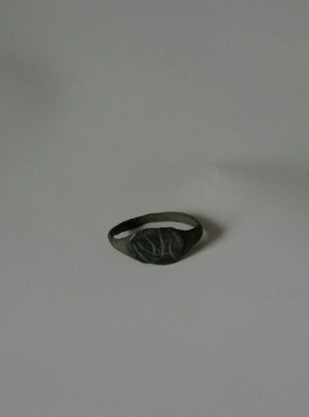 Found a ring in the garden. - My, Ring, Find, Garden, Longpost