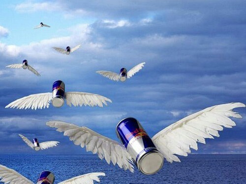Red bull inspires - , Road accident, Interpol, Search, Red bull