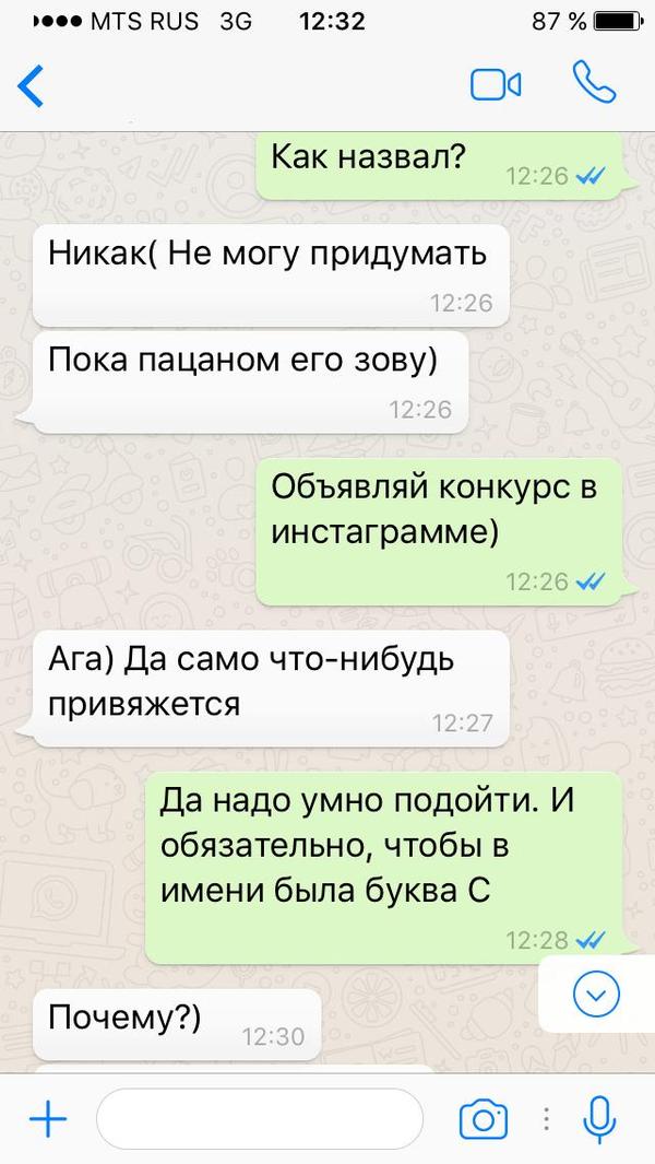 Что в имени тебе Кота моего... - Имена, Кот, Личная жизнь, Хорошая идея, Длиннопост