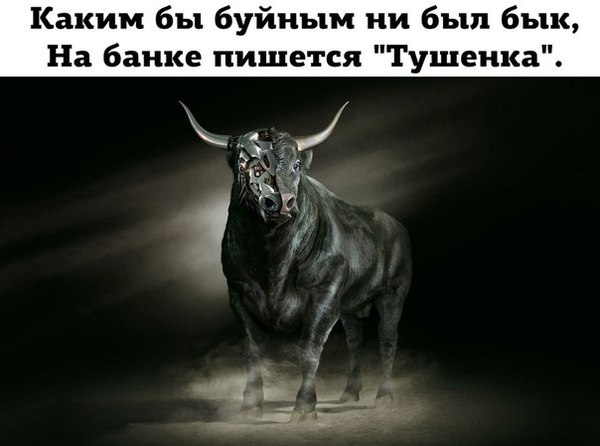 Stew - Bull, Picture with text, Stew