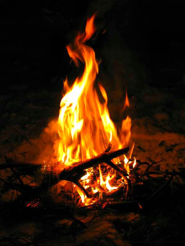 �������� �����