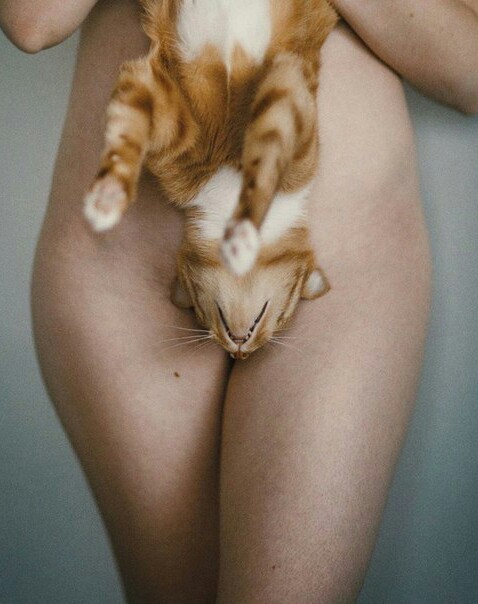 When the owner is an idiot - NSFW, cat, Girls, The photo, Strawberry