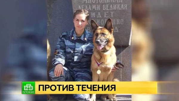 A scandal is brewing in the St. Petersburg headquarters of the Ministry of Internal Affairs due to a conflict with a cynologist - Society, Saint Petersburg, Ministry of Internal Affairs, Cynology, Conflict, Social networks, NTV, Dog