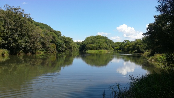 Seaside river. - My, The photo, Nature, Primorsky Krai, River