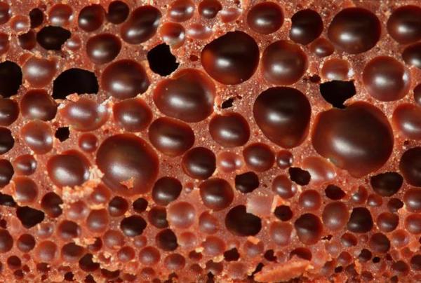 Why do photos like this disgust so many people? - Trypophobia, Fear, Fear, Hole, Disease, Longpost