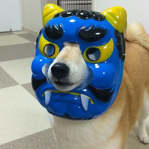 Stranger - Dog, Mask, Cosplay, Stranger