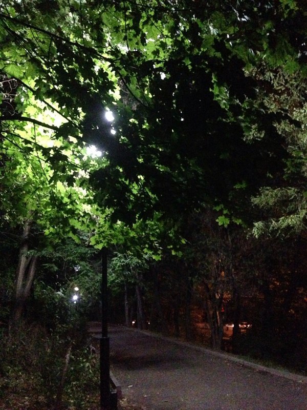 Скверик возле дома...