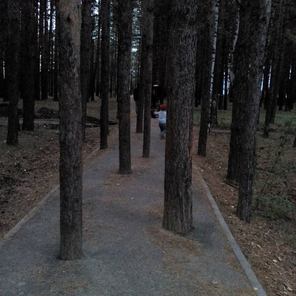 Дорожка к зданию института | Пикабу