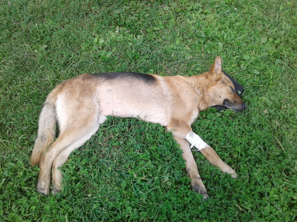 Вакер. Прощай Друг...