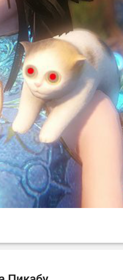 Что-то с этим котом не так