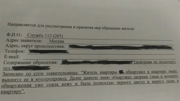 Круговорот змеи в природе