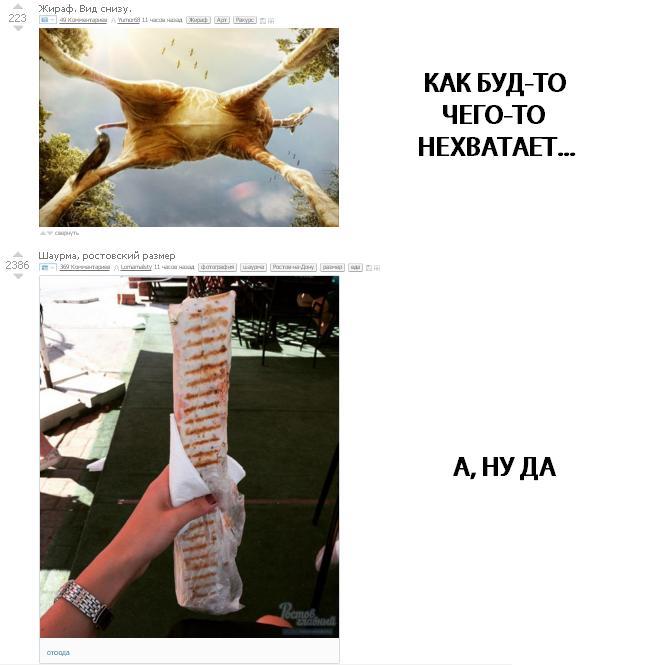 Are there giraffes in Rostov? - Screenshot, Coincidence