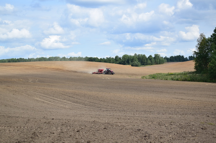 Field preparation - My, Nikon d3300, Field, Logoisk, I want criticism