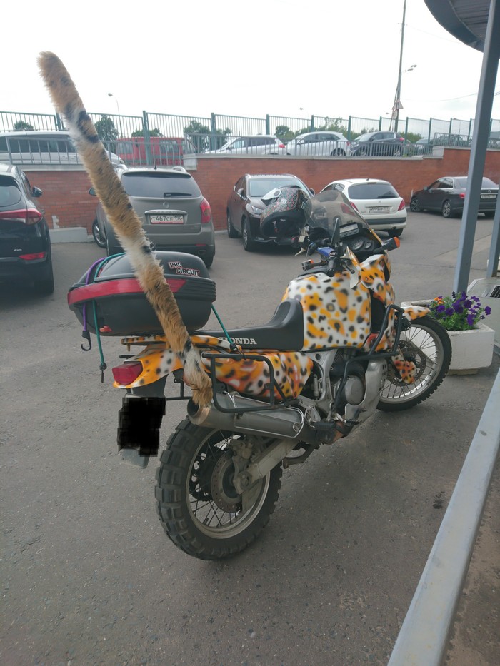 Leopardocycle - My, Leopard, Motorcycles, Collective farm tuning, Moto