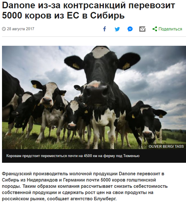 Cow GULAG. And these, by the way, are the most real political prisoners, no matter how you look. - Danone, Russia, Siberia, European Union, Sanctions, Cow, Politics