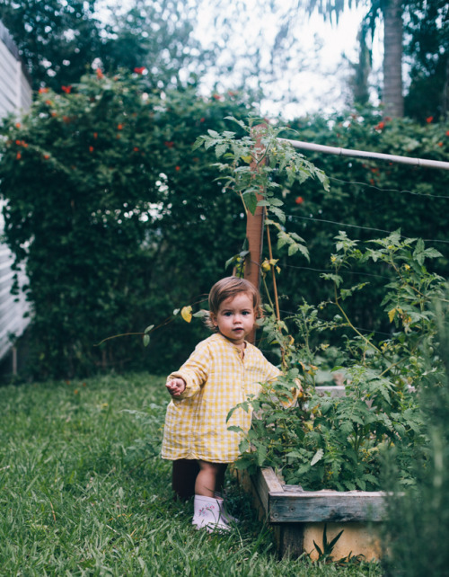 Young summer resident - Summer resident, Dacha, Garden, Garden, Tomatoes, Girl, Children