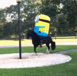 1504096812190420641.gif