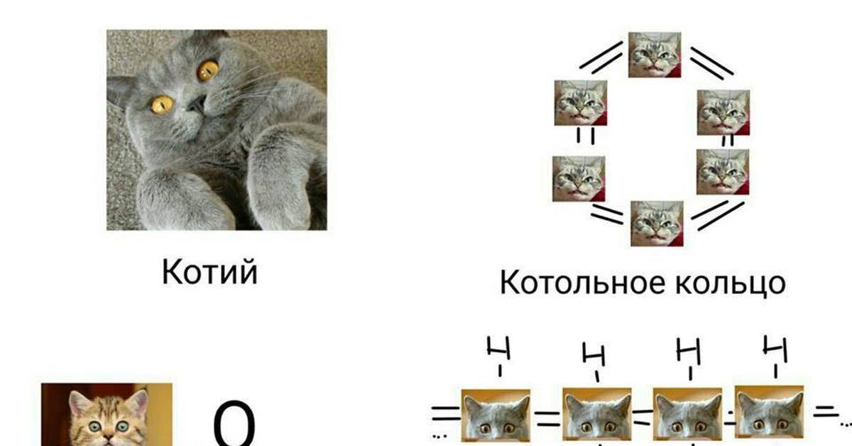 Котья мать картинки